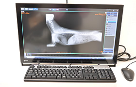 デジタルＸ線画像診断システム
