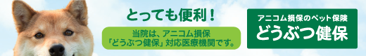 アニコム