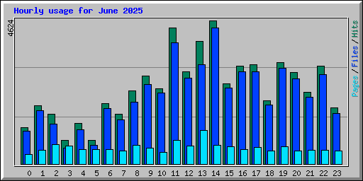 Hourly usage for June 2025