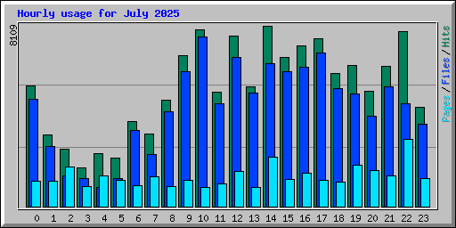 Hourly usage for July 2025