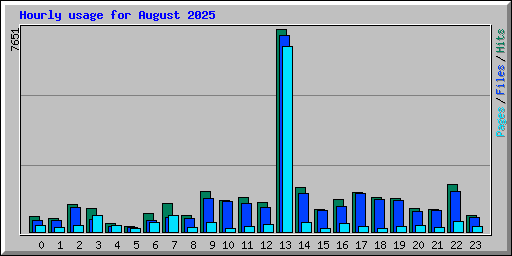 Hourly usage for August 2025