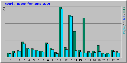Hourly usage for June 2025